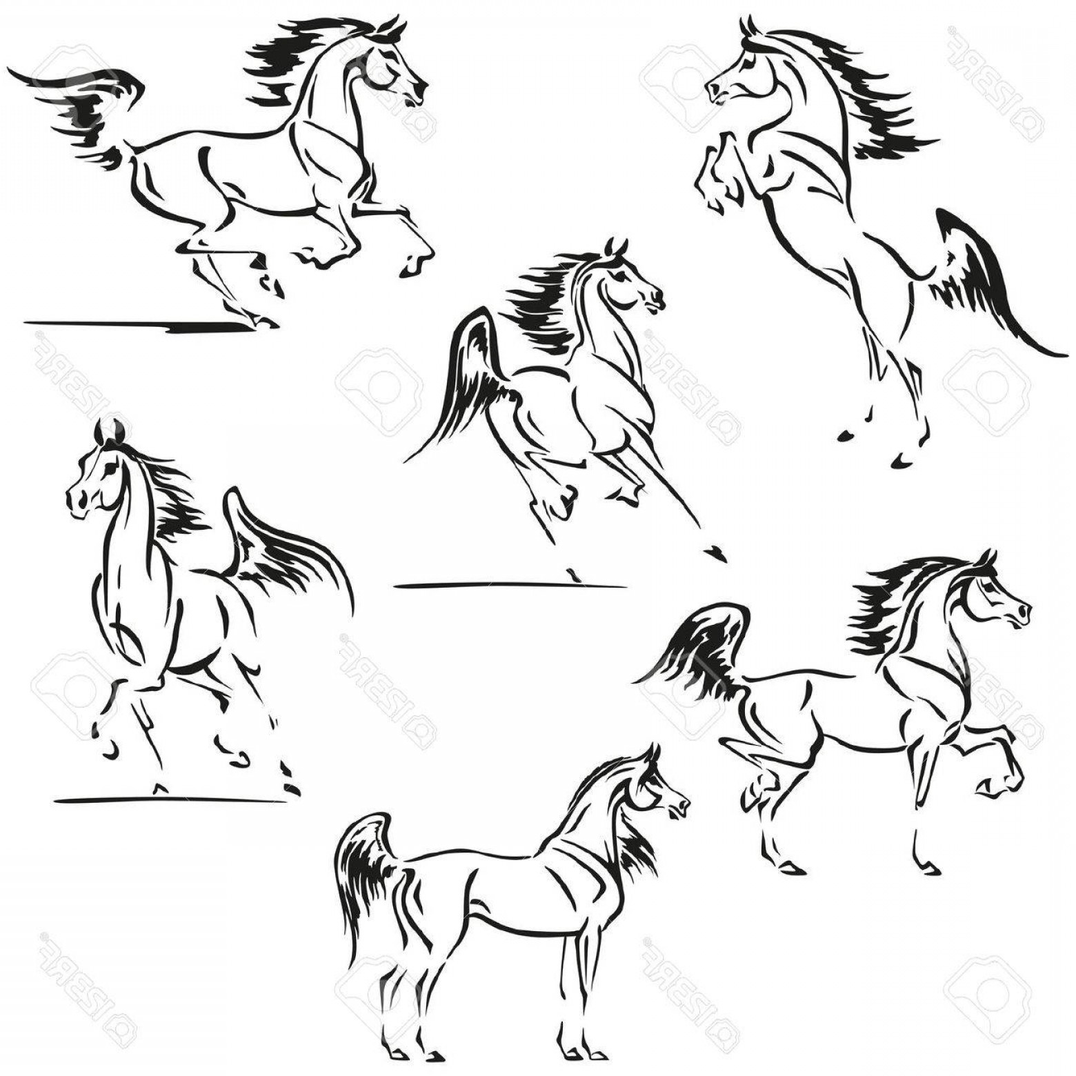 Arabian Horse Vector at Vectorified.com | Collection of Arabian Horse ...