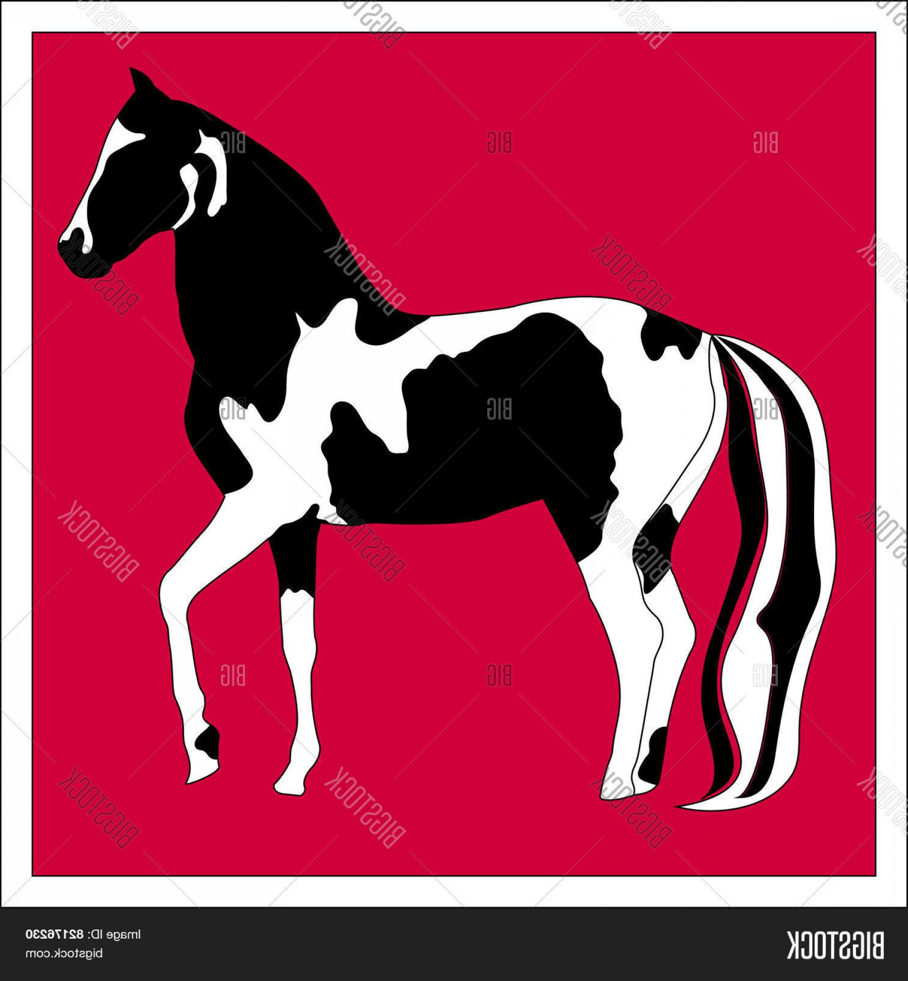 1800x1944 Stock Vector Silhouette Beautiful Arabian Horse Studiogrfx