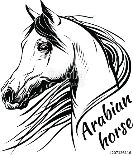 Arabian Horse Vector at Vectorified.com | Collection of Arabian Horse ...