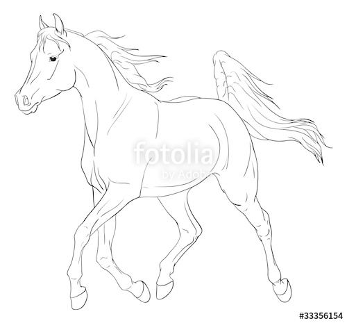 500x465 Arabian Horse Vector Illustration Stock Photo And Royalty Free