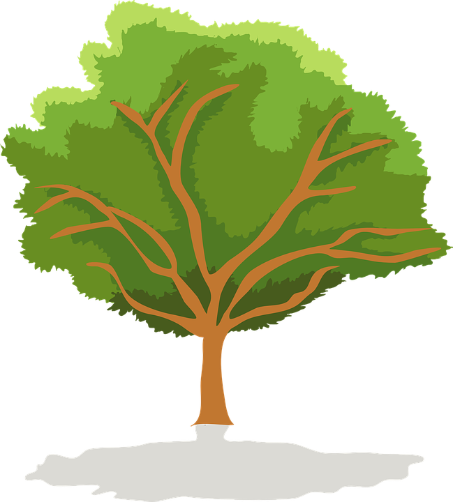 649x720 Vector Arbol Png Vector, Clipart