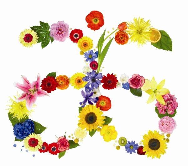 Arbonne Flower Logo Free Image 600x530 Arbonne Flower Logo Free Image