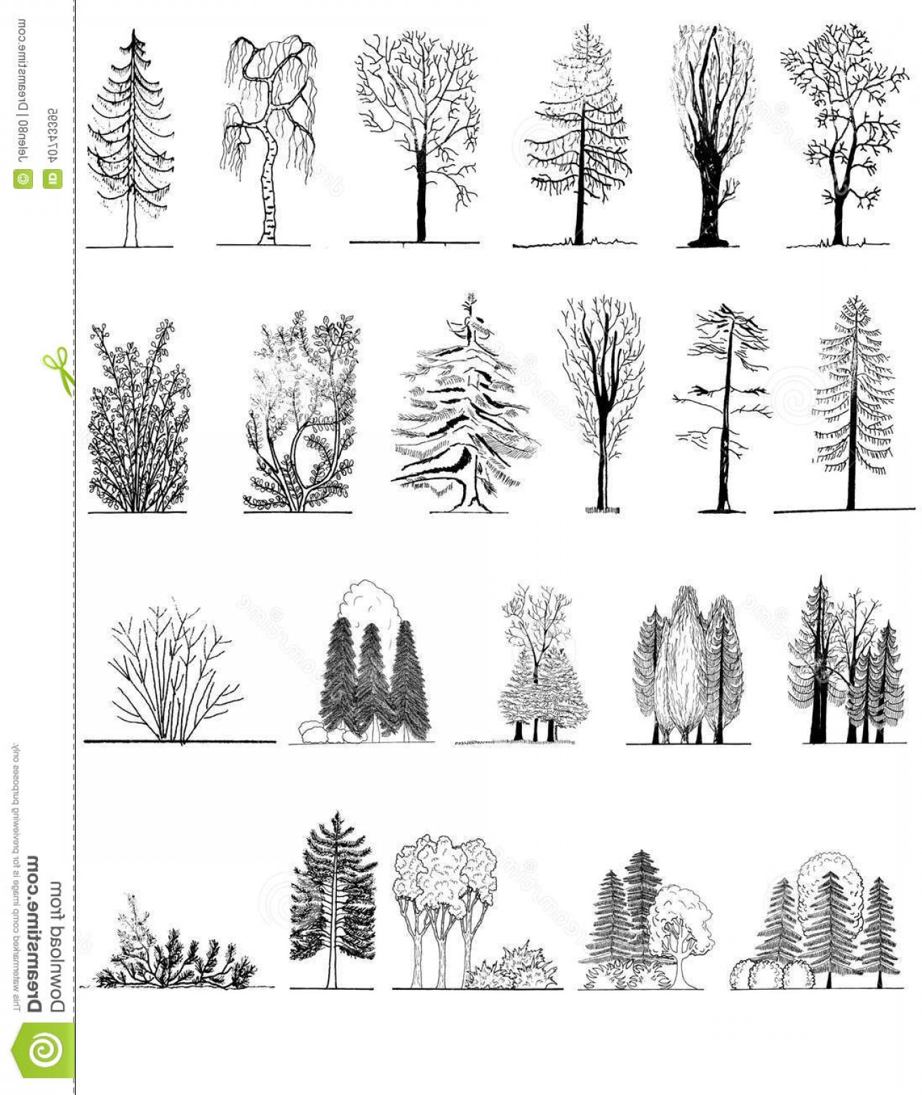 1314x1560 Vector Tree Silhouette Plan View Soidergi