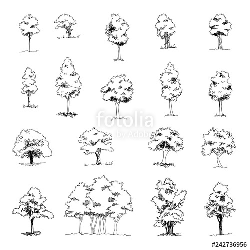 Architecture Tree Vector at Vectorified.com | Collection of ...