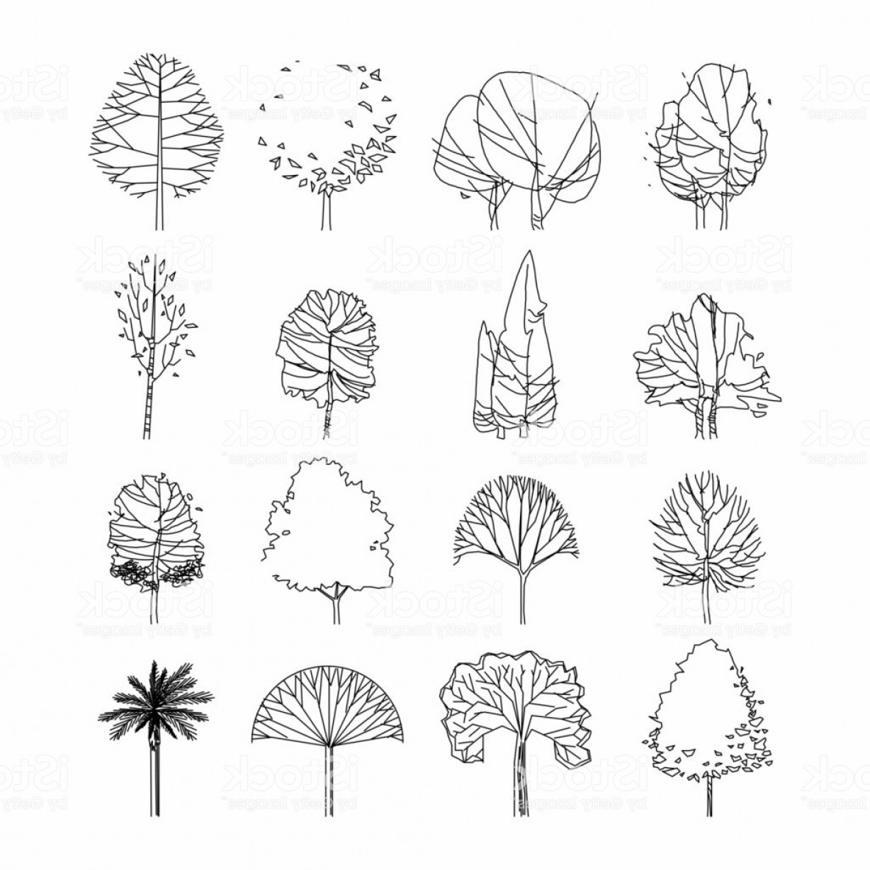 Architecture Tree Vector at Vectorified.com | Collection of