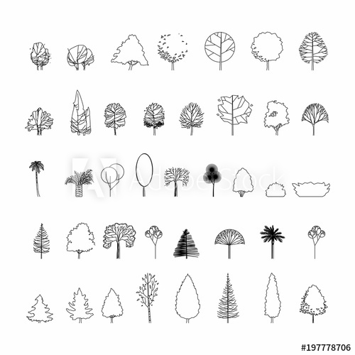 Architecture Tree Vector at Vectorified.com | Collection of