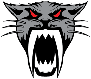 300x259 Arctic Cat Logo Vector