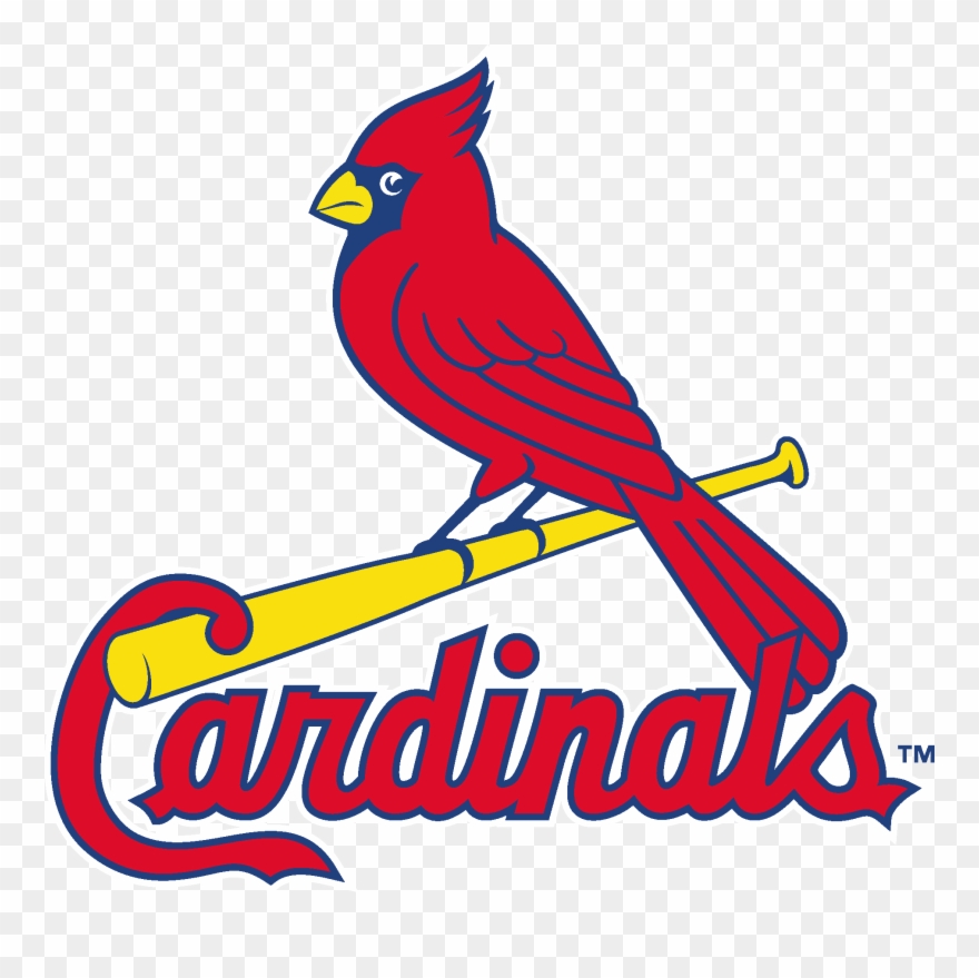 880x879 Louis Cardinals Logo Vector