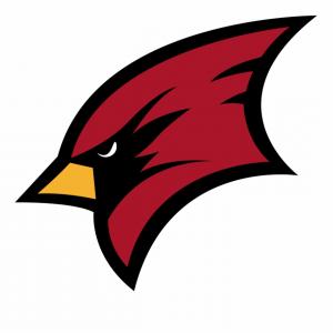 300x300 Png Arizona Cardinals Nfl Regular Season Carolina Pant Cultracing