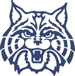 298x300 Arizona Wildcats Logo Vector
