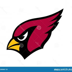 300x300 Iobwbhoarizona Cardinals Saginaw Valley State University Cardinal