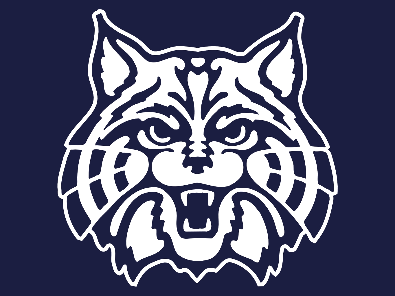 Arizona Wildcats New Coaching Staff Double Coverage 1365x1024 Arizona Wildcats New Coaching Staff Double Coverage