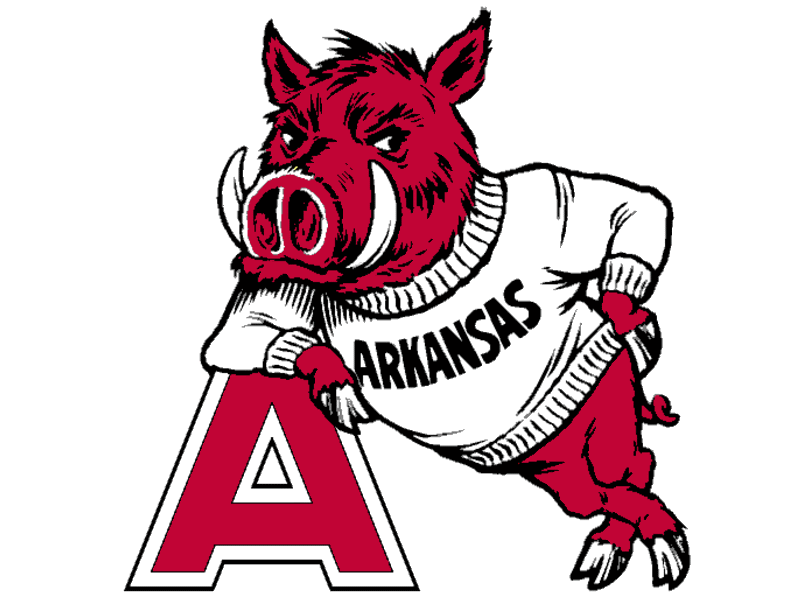 800x600 Arkansas Razorback Clip Art Free Image