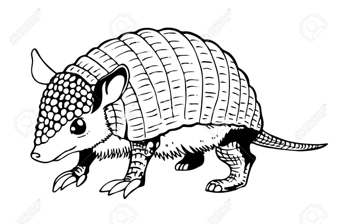 1300x864 Armadillo Clipart Stock Vector For Free Download And Use Images