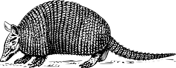 600x232 Armadillo Free Vector Download