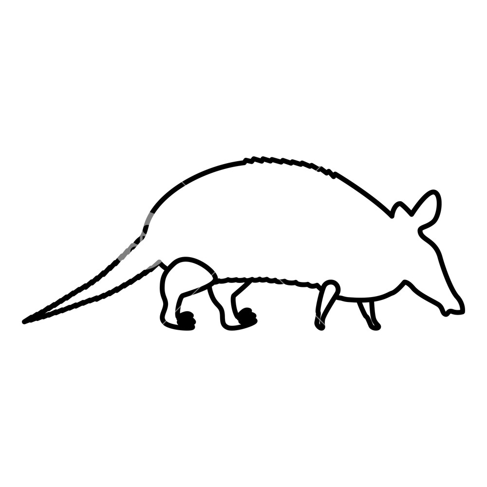 1000x1000 Armadillo Icon Black Color Vector Illustration Flat Style Simple