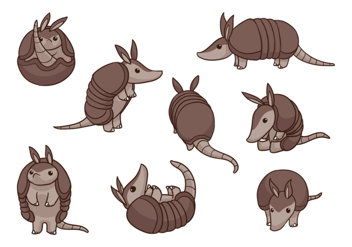 700x490 Armadillo Cartoon Vectors