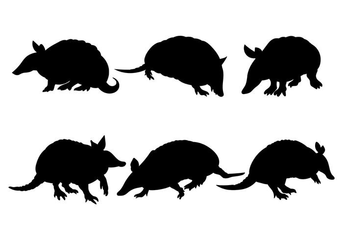 700x490 Armadillo Vector Icons