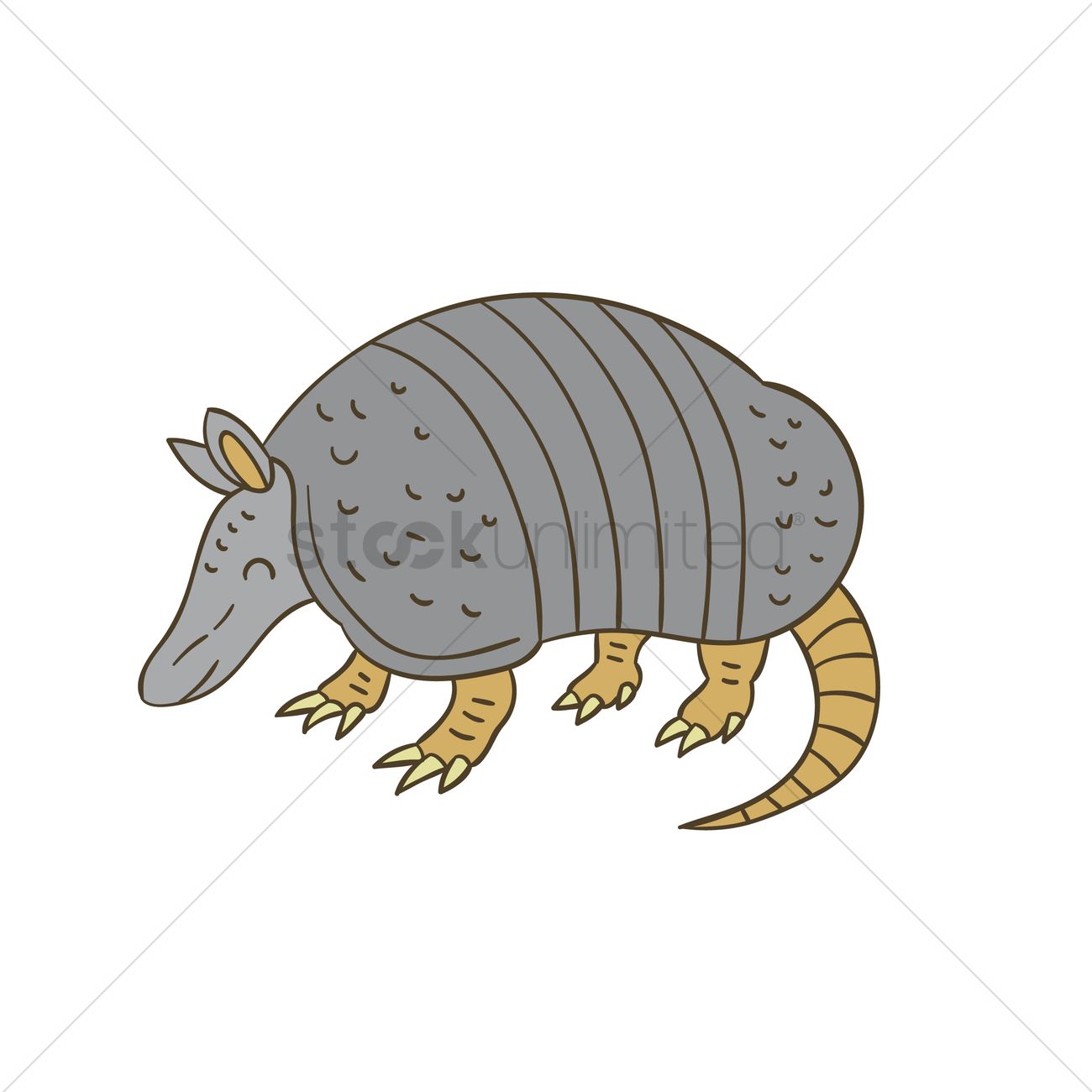 1300x1300 Armadillo Vector Image