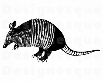 340x270 Armadillo Clipart Vector For Free Download And Use Images