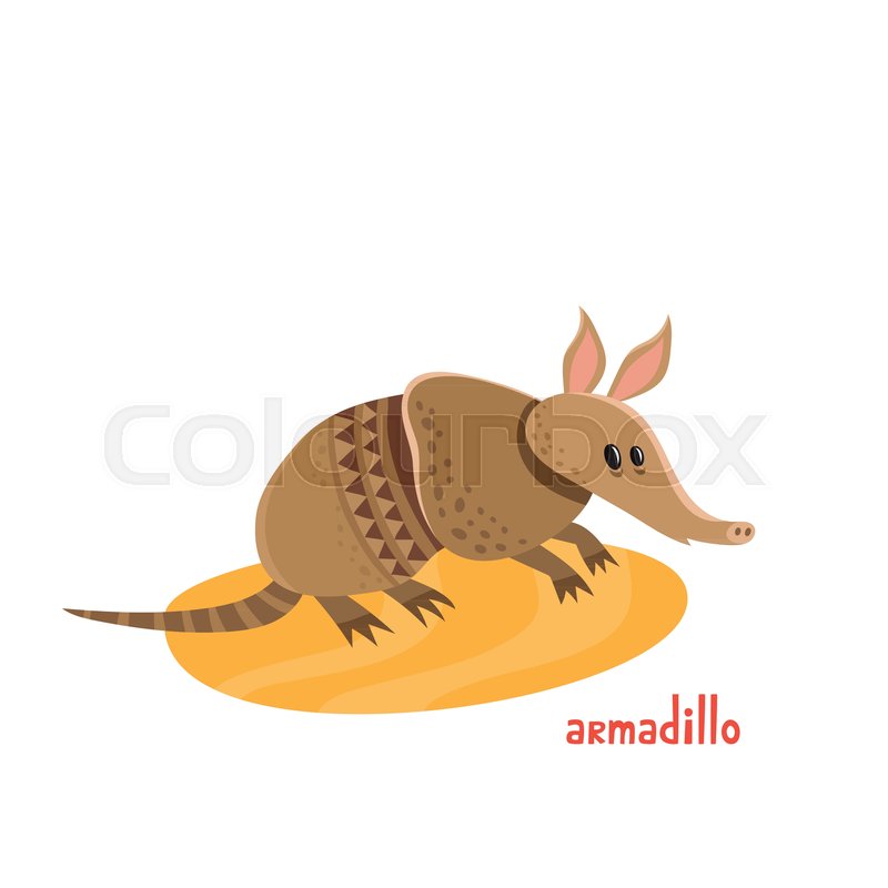 800x800 Cute Armadillo In Cartoon Style Stock Vector Colourbox