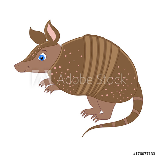 500x500 Cute Cartoon Armadillo Vector Illustration Isolated On White