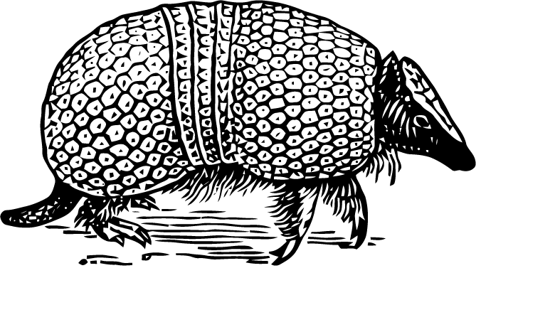780x467 Ephemeraphilia Free Vector Art Armadillo