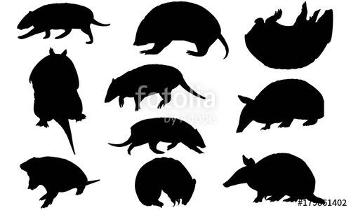 500x300 Armadillo Silhouette Vector Graphics Stock Image And Royalty