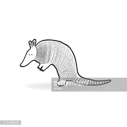 416x416 Isolated Armadillo Vector Illustration Stock Vectors