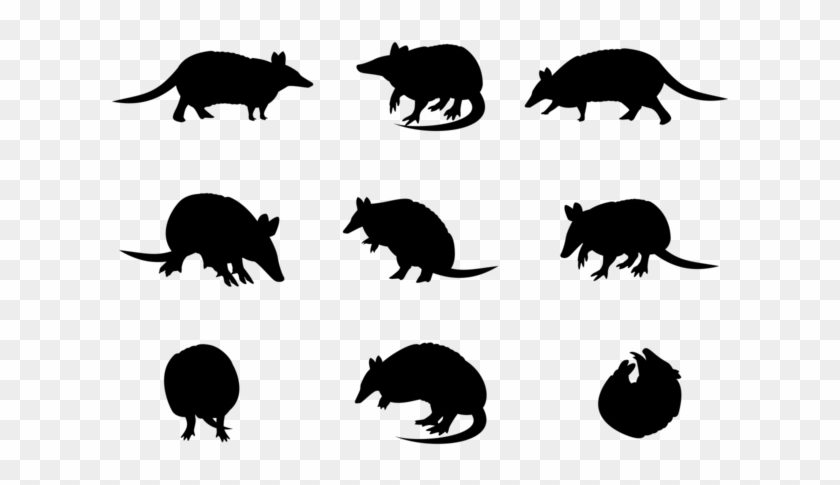 840x485 Armadillo Sillhaouttes Vector