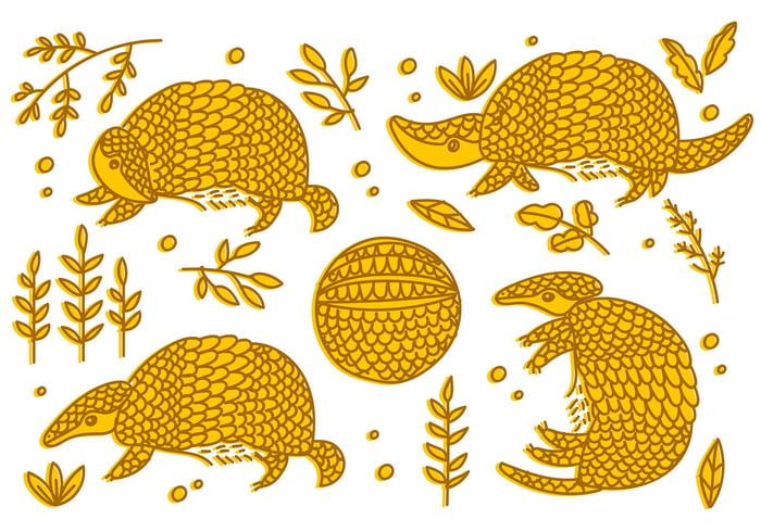 700x490 Armadillo Sketch Free Vector Free Graphics Uihere