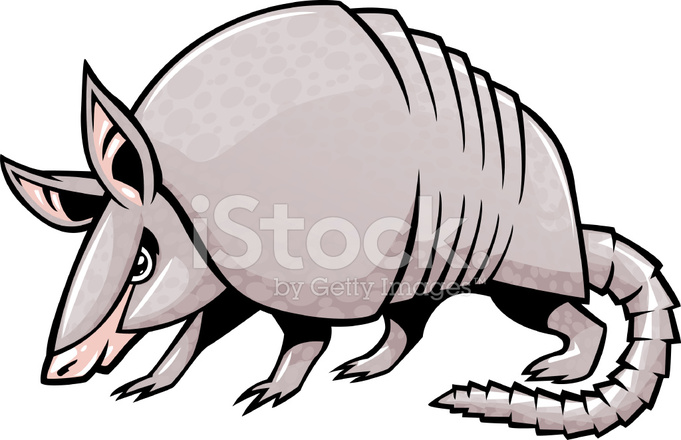 681x440 Armadillo Stock Vector
