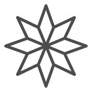 300x300 Military Star Line Icon Label And Army Insignia Sign Vector