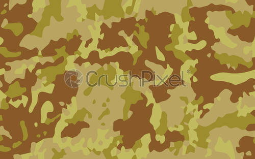 500x313 Dessert Camouflage Texture Vector Background, Stock Vector