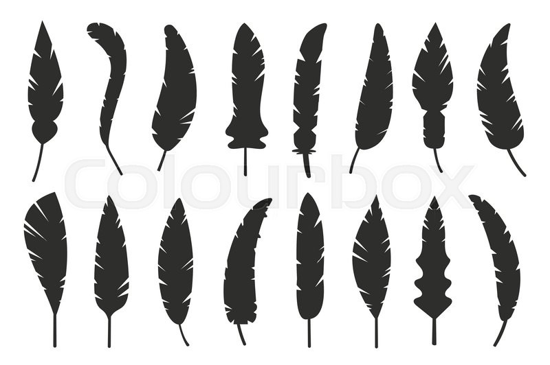 Feathers Vector Black And White Stock Vector Colourbox 800x532 Feathers Vector Black And White Stock Vector Colourbox