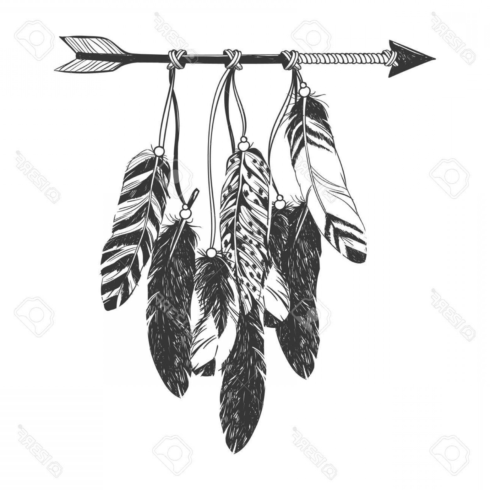 Arrow Feather Vector at Vectorified.com | Collection of Arrow Feather ...