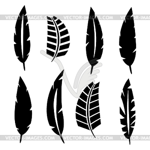 Set Of Bird Feathers 300x299 Set Of Bird Feathers