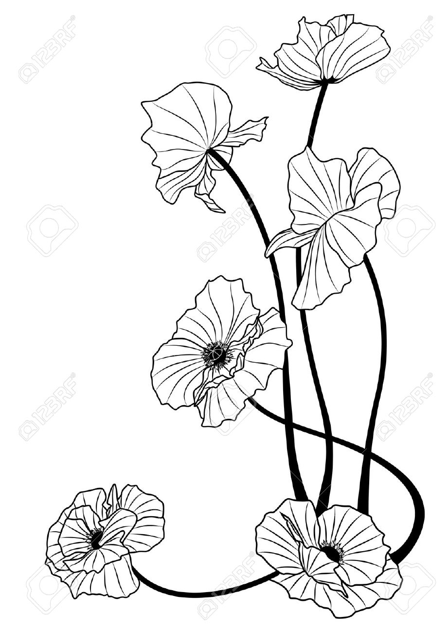 Art Nouveau Free Clipart Floral Collection, Art Nouveau Flowers 919x1300 Art Nouveau Free Clipart Floral Collection, Art Nouveau Flowers