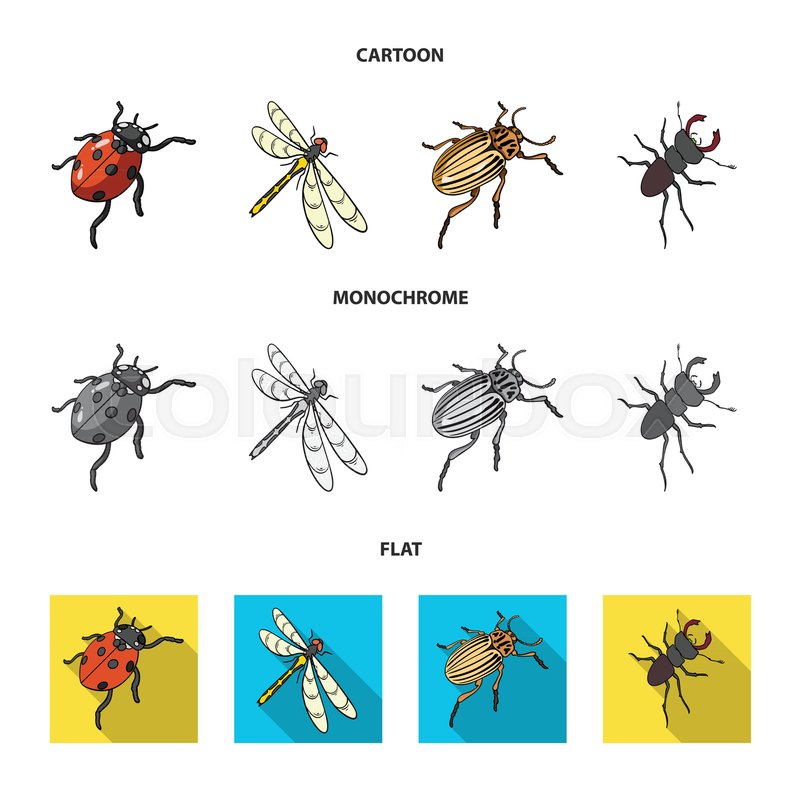 Arthropod Vector at Vectorified.com | Collection of Arthropod Vector ...