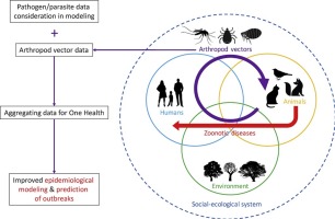 306x200 Management Of Arthropod Vector Data Social And Ecological