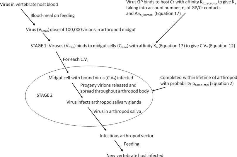 809x536 Towards A Thermodynamic Mechanistic Model For The Effect