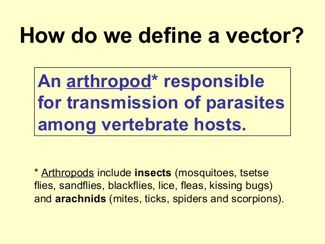 638x479 Vector Borne Diseases