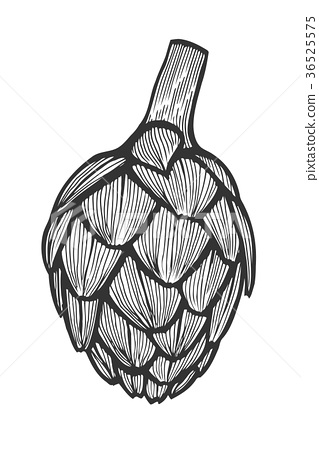 319x450 Artichoke Vector Illustration