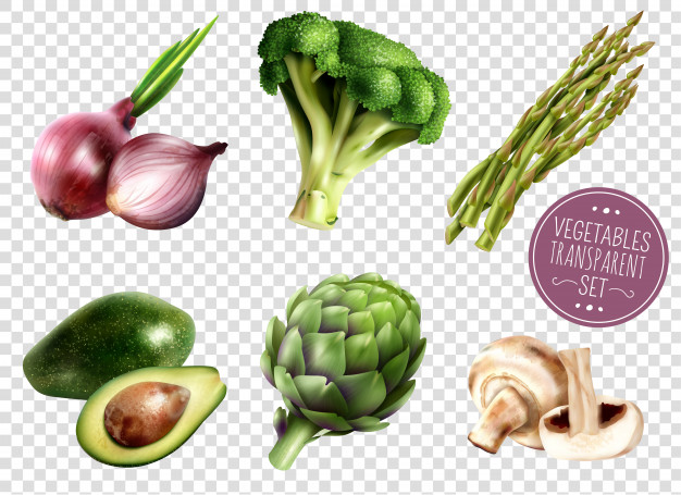 626x455 Artichoke Vectors, Photos And Free Download