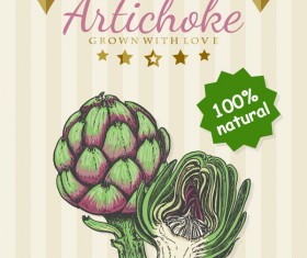 280x235 Artichoke Vector