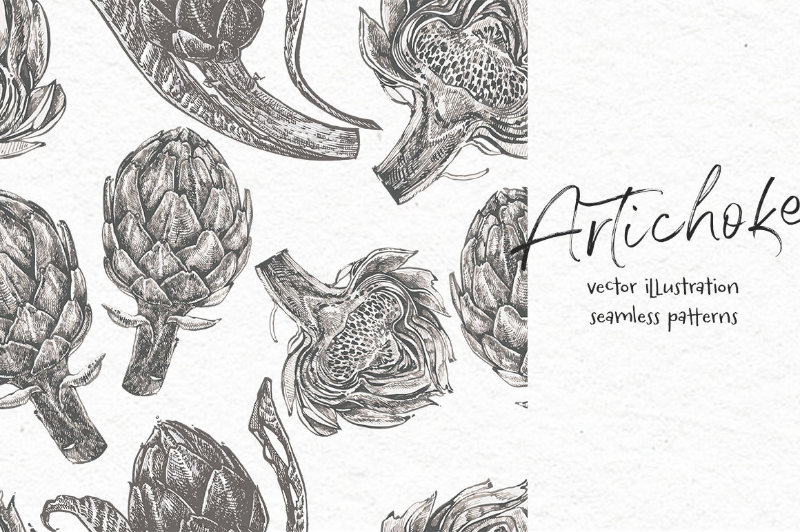 1160x772 Artichoke Vector Illustration
