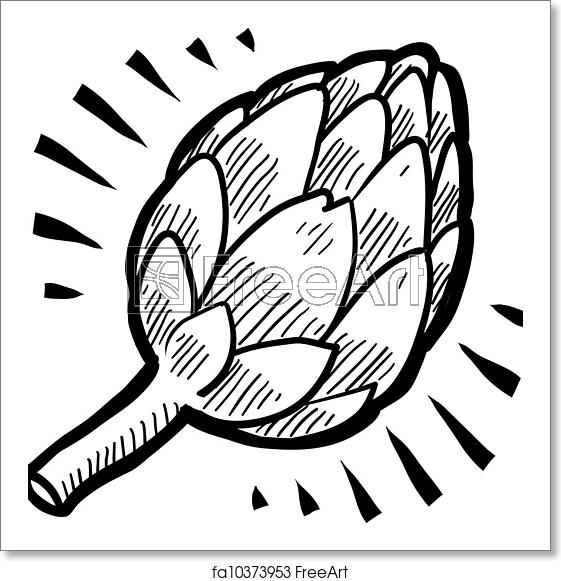561x581 Free Art Print Of Artichoke Vector Doodle Style Fresh Artichoke