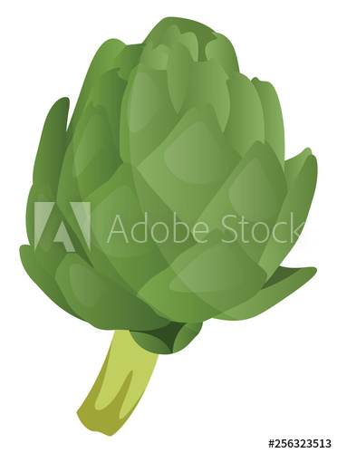 372x500 Green Artichoke Vector Illustration Of Vegetables On White