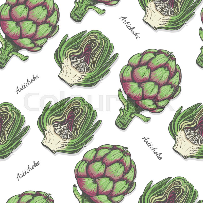 800x800 Seamless Color Pattern With Artichoke Stock Vector Colourbox