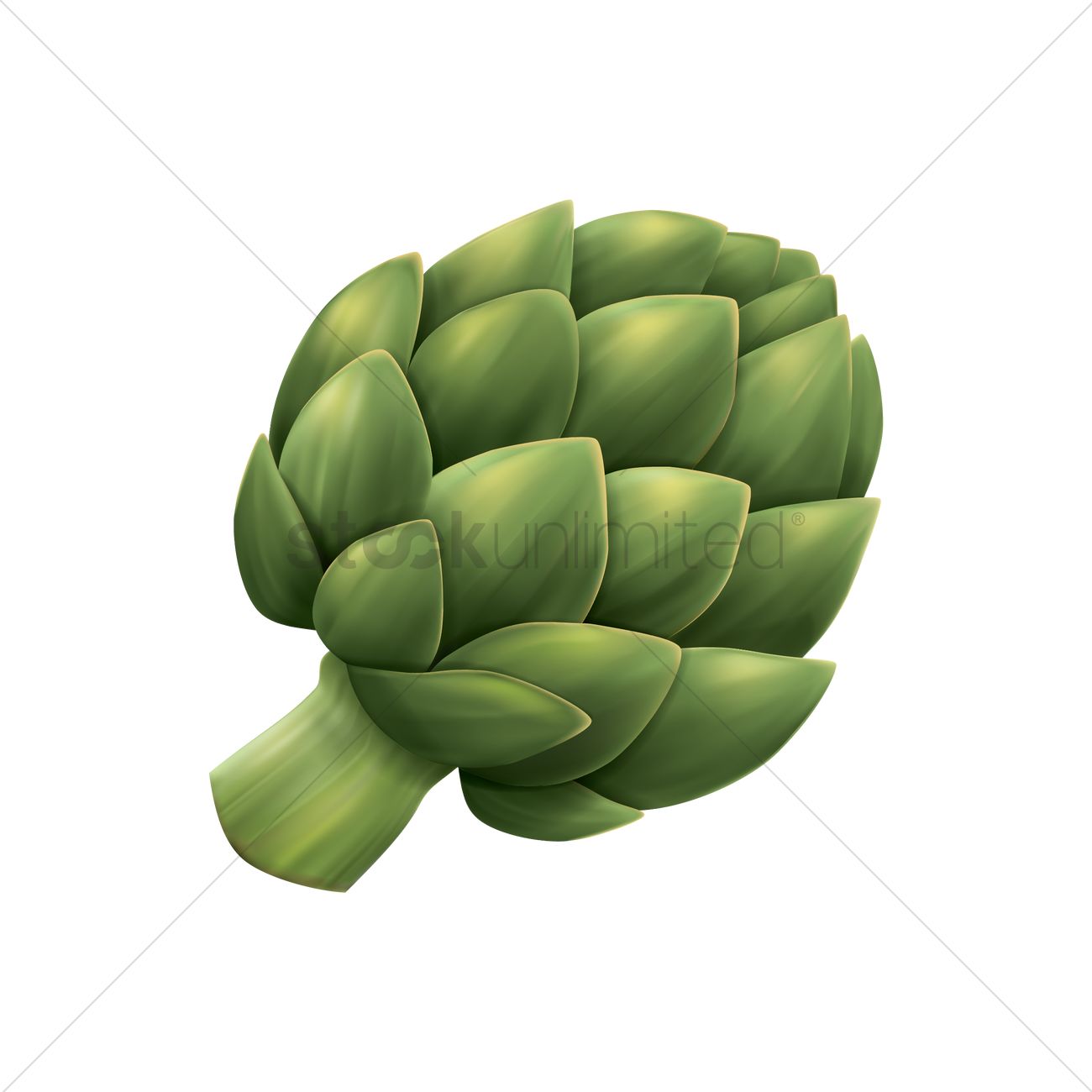 1300x1300 Artichoke Vector Image